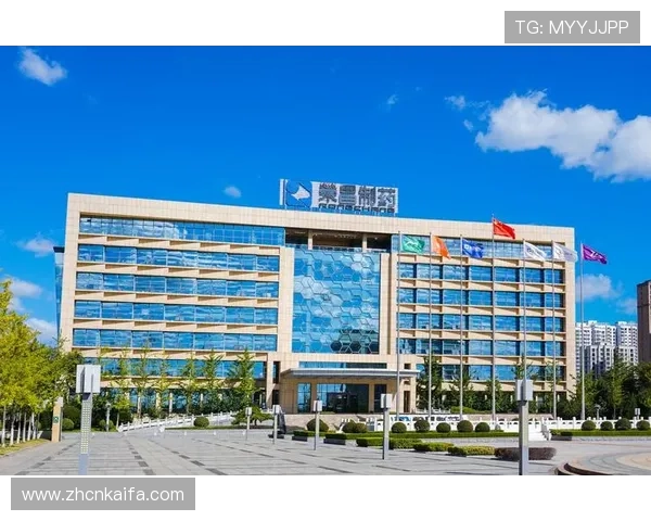 凯发K8.com集团会员注册常见问题及解决方案全方位指导